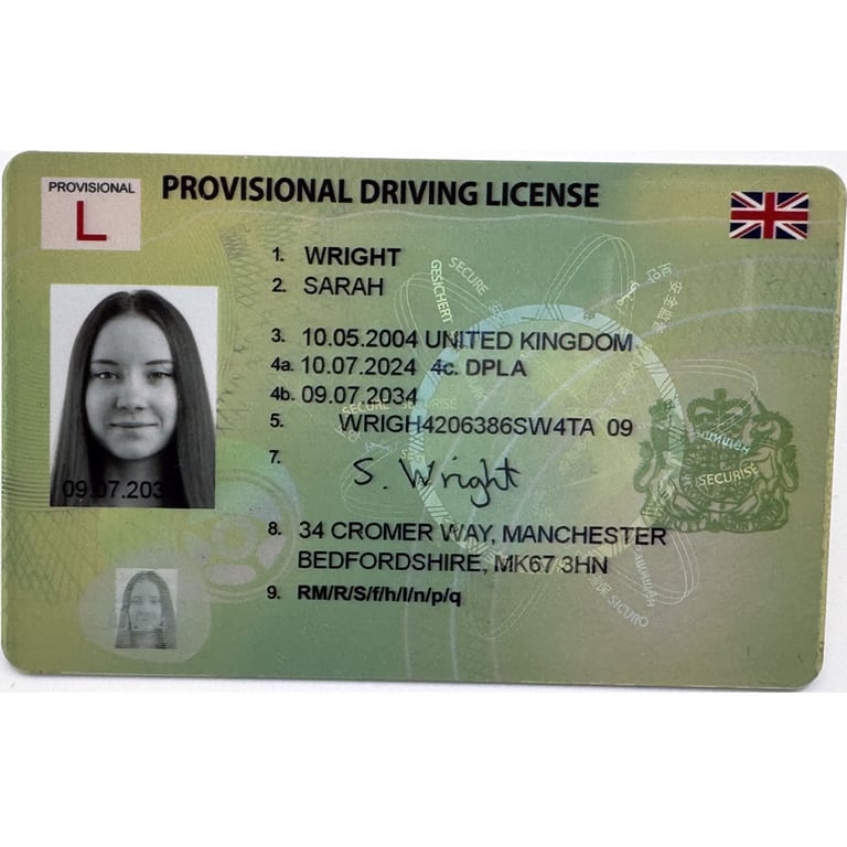 provisional drivers license front view 2024