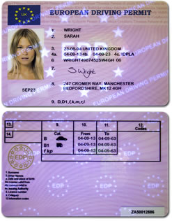 can i drive in europe with international license